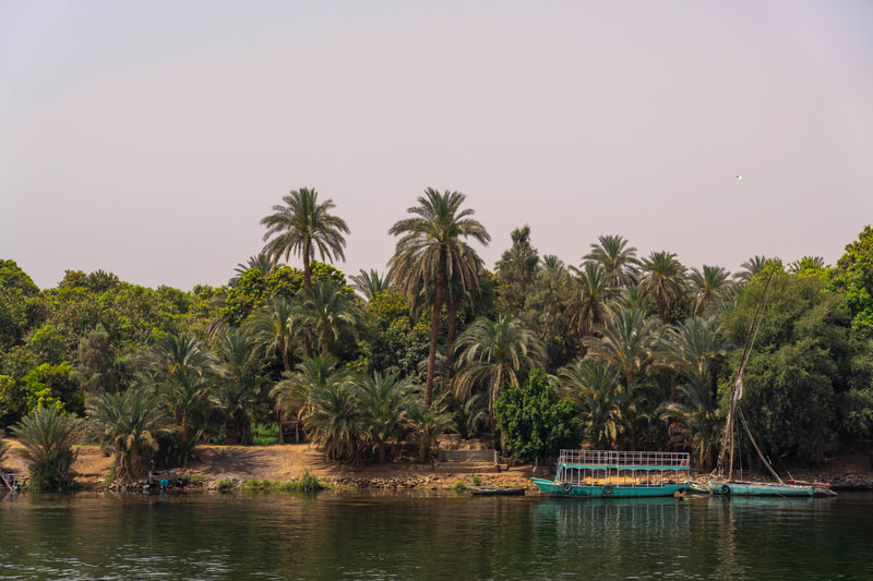 © ΜΠΑΛΗΣ ΓΙΩΡΓΟΣ